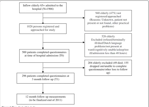 Figure 1 Flow chart pilot study.