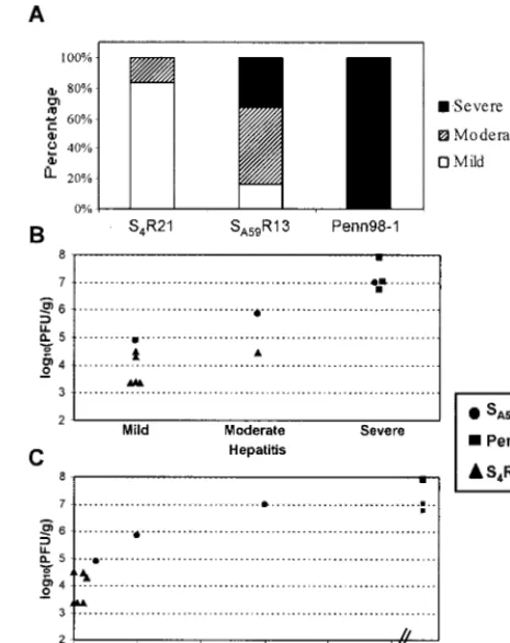 FIG. 3. Spike protein determines degree of hepatitis and level ofreplication in the liver