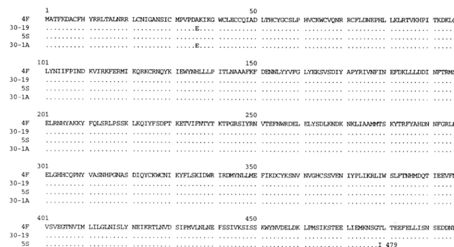 FIG. 2. Alignment of the predicted amino acid sequences of NSP1 encoded by the gene 5 dsRNAs of wild-type viruses 30-19 and 4F andvariants 30-1A and 5S