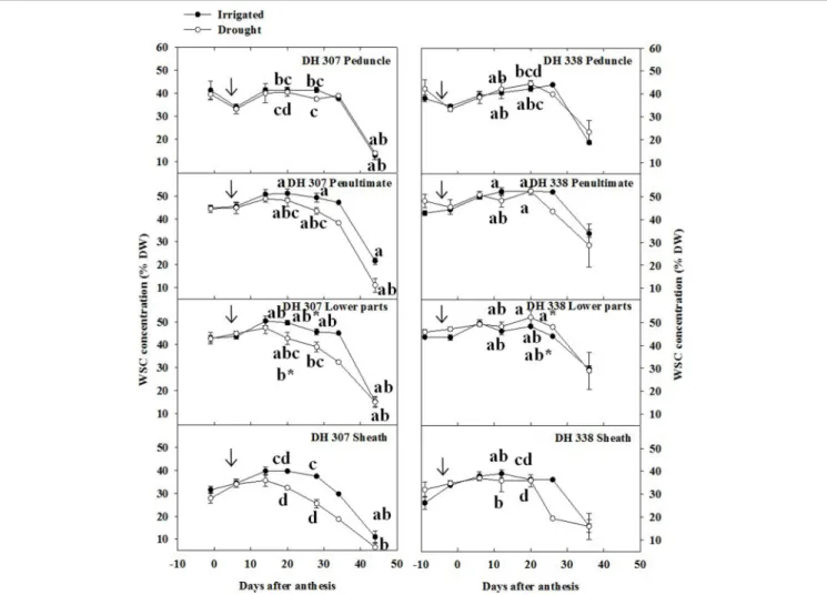 FIGURE 3 | Stem water soluble carbohydrate (WSC) levels in different stem segments of DH 307 and DH 338 under drought (open circles) and irrigated conditions (closed circles) in the field