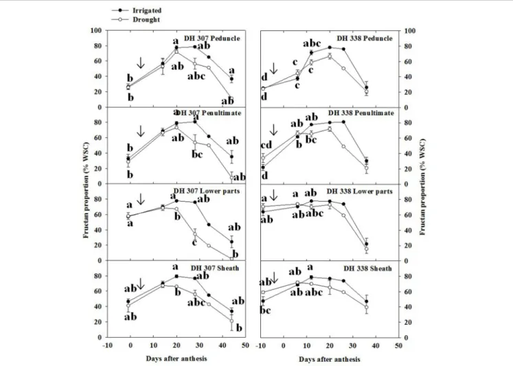 FIGURE 7 | Fructan proportion (% WSC) in different stem segments in DH 307 and DH 338 under drought (open circles) and irrigated conditions (closed circles) in the field