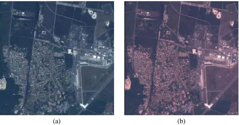 Figure 3-6: Color composite of second dataset acquired by SPOT-5 over the Réunion island on (a) May 2nd and (b) June 18th, 2008