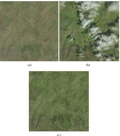 Figure 3-16: Results achieved for dataset 4. (a) first image (July 31st, 2016), (b) second image (March 28th, 2016), (c) reconstruction of second image