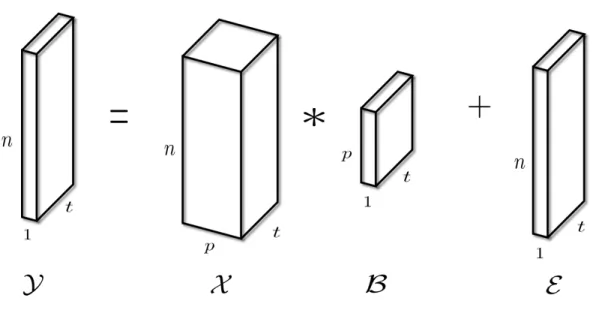 Figure 5.1: Tensor Linear Model (TLM) for Y ∈ R n×1×t , X ∈ R n×p×t , and B ∈ R p×1×t .