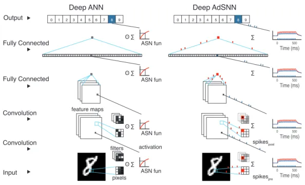 Figure 2: Adaptive Spiking Neural Network conversion schematic. Left. During training of a deep ANN, the output of a convolutional or fully connected layer is passed through the ASN transfer function