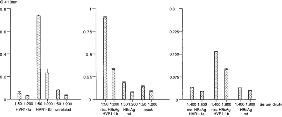 FIG. 6. Reactivity of recombinant particles with human serum as determined by ELISA. (A) Serum from a patient infected with HCV wastested against peptides representing HVR1-1a and HVR1-1b sequences and an unrelated peptide