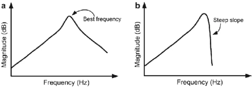 Figura 52. Salida de un filtro de segundo orden, en el modelo de cóclea  paralelo (a) y en el modelo de cóclea en cascada (b)