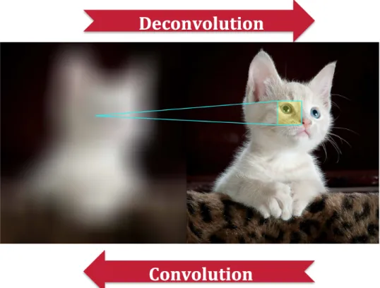 Figure 7: Basic Example of Convolution and Deconvolution 
