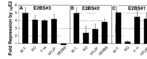 Figure 6A shows the effects on promoter activity when