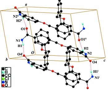 Figure 2A view of N—H···O hydrogen bond interactions (dotted lines) in the crystal structure of the title compound