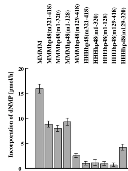 FIG. 3. DNA synthesis on ssDNA by chimeric pol-prim complexes.The puriﬁed pol-prim complexes (0.3 U of primase) (murine pol-prim