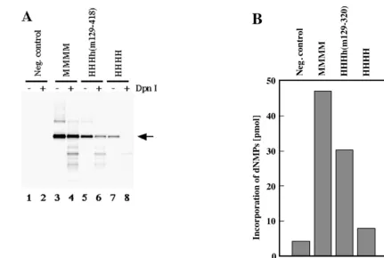 FIG. 5. aa 129 to 320 of mouse p48 control species speciﬁcity of cell-free PyV DNA replication
