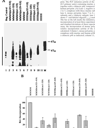 FIG. 6. Initiation of PyV DNA replication by recombinant pol-prim. The PyV initiation activity of the chimeric pol-prim complexes