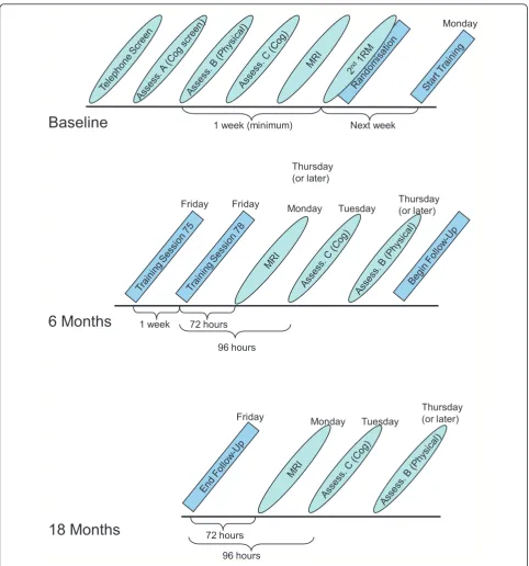 Figure 2 SMART assessment schedule.