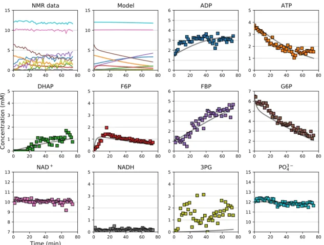 Figure 5. Validation of a kinetic model by comparison to independent experimental data
