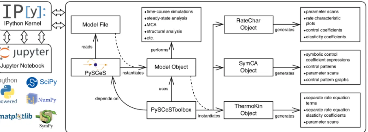 Figure 6. PySCeSToolbox architecture and workflow. PySCeS instantiates a model object from file, which is then used by PySCeSToolbox to instantiate an analysis tool object