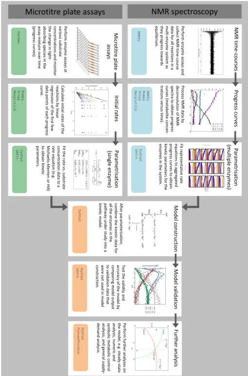 Figure 1. The basic workflow for integrating enzyme kinetics for systems biology with computational modelling using Python