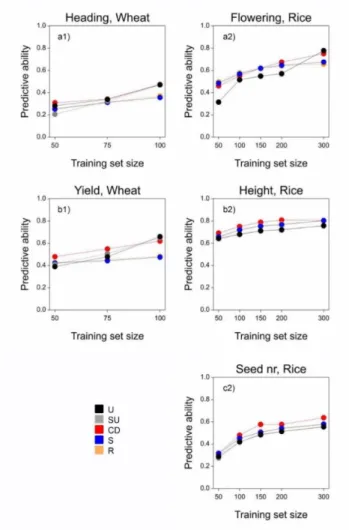 Figure 5. Predictive ability for the wheat and rice panels as a function of training set size, using the RKHS model