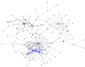 Fig.	  5	  –	  NON	  network	  of	  blog	  replies.	  	  Blue	  indicate	  fading	   relationships	  between	  users,	  grey	  are	  stable	  relationships	   and	  the	  single	  red	  tie	  is	  the	  only	  considered	  to	 