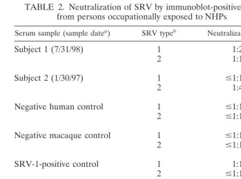FIG. 3. WB results for SRV-1 on archival and follow-up serumsamples from two persons identiﬁed as SRV seropositive on initial
