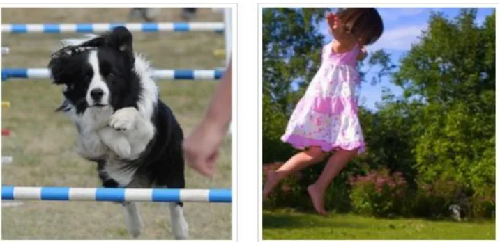 Figure. 6. Samples for output (decisions) of deep learning systems [10]. At left: “A black and 