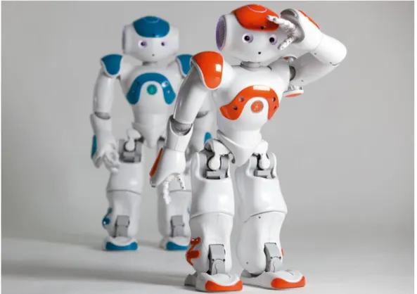 Figure 2.9: Nao the programmable humanoid robot by Aldebaran robotics in France. 
