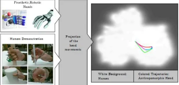 Figure  2.12:  Projection  of  prosthetic  hand  workspace  in  comparison  to  a  human  hands natural workspace