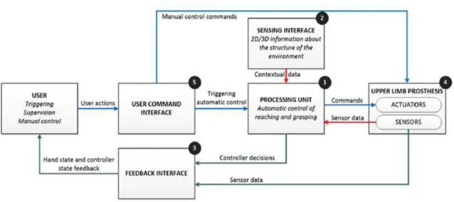 Figure 2.6: Semi-Autonomous Control of a Myoelectric Prosthesis (Adapted from: Castellini et al