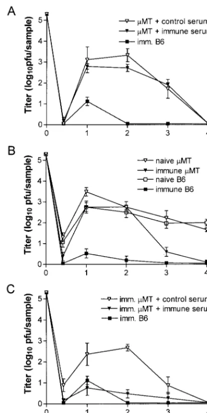 FIG. 5. Replication of challenge virus in the genital tracts of �B-cell-deﬁcient mice or B6 control mice