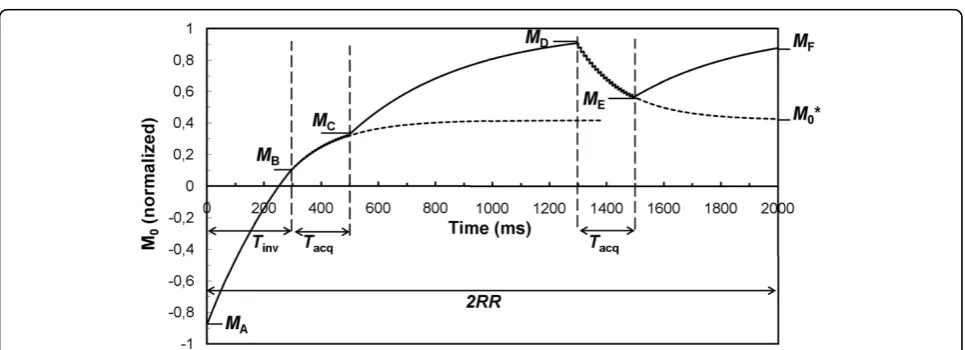 Figure 1 Schematic representation of the evolution of the magnetization during a 3D PSIR acquisitiondepending on the repetition time TR (10 ms) and the applied flip anglefactorsecond acquisition atperiods the magnetization approaches the saturated magnetiz