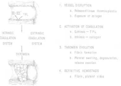 Figure 10: SSecondary haaemostasis39: 