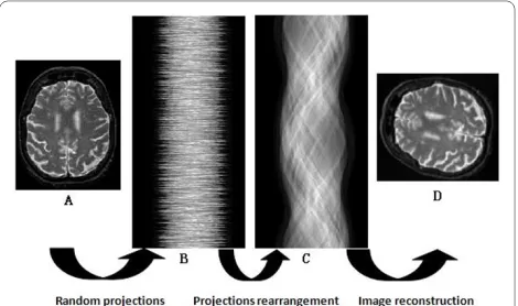 Figure 1 Reconstruction flowchartsteps of the reconstruction procedure from projections data with un-known view angles