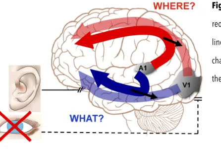 Figure 1.2: Schematic representation of functional 