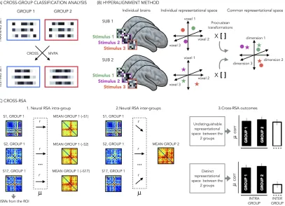 Figure 1.10: Comparing representational space between subjects. (A) Cross group classification analysis