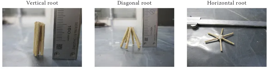 Figure 7. Surface coverage by the artificial plant