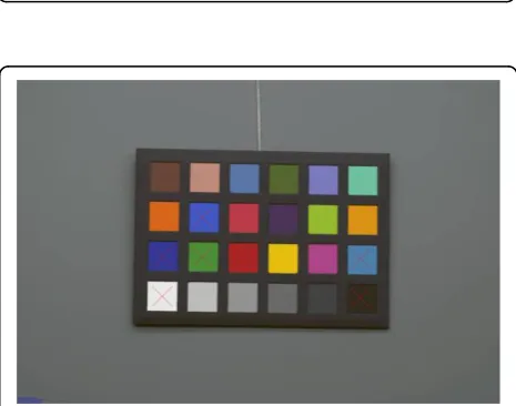 Figure 4 Example with Nikon D200: MBCCC under illuminant A(3000 K). Camera: exposure bias -1, automatic white balance.