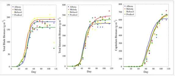 Figure 3: Experimental data (dots) and simulation (lines) comparisons of blade dry mass, internode dry mass, and capitulum dry mass for the four genotypes - “Albena”, “Melody”,