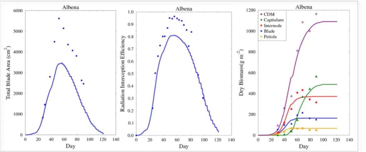 Figure 6: Model evaluation for genotype “Albena” using an additional experimental dataset: “2002b” (RMSE: 36.4; coefficient of determination: 0.95)