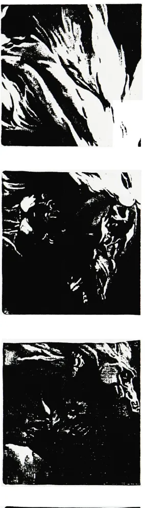 Figure 1 : Dotty Attie