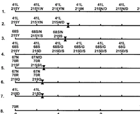 FIG. 1. In vivo evolution of transmitted viruses with drug resis-tance-conferring mutations in the absence of antiretroviral therapy.