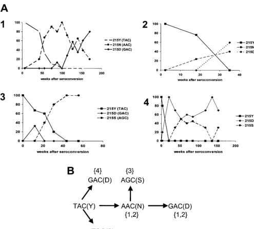 FIG. 2. In vivo evolution at amino acid 215 of RT. (A) Relative abundances of viruses with the indicated amino acids at position 215 of RTafter transmission of AZT-resistant viruses