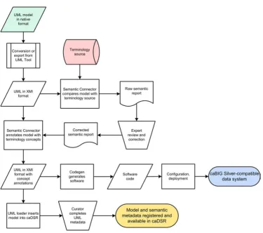 Figure 2caCORE SDK Workflowtated model is used as input into Codegen, which generates the software for a caBIG-compatible data system with object-ori-ented APIs