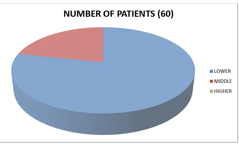 FIGURE 3:   ACCORDING TO SOCIOACCORDING TO SOCIO-ECONOMIC STATUS :ECONOMIC STATUS :- 