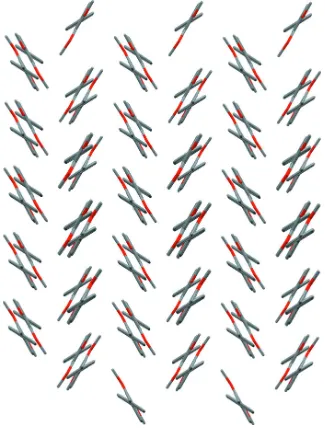 Figure 2In zigzag formation packed molecule rows along (201)-plane. Hydrogen atoms are omitted for clarity