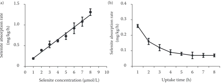 Figure 1. Concentration (a)- and time (b)-dependent selenite adsorption kinetics