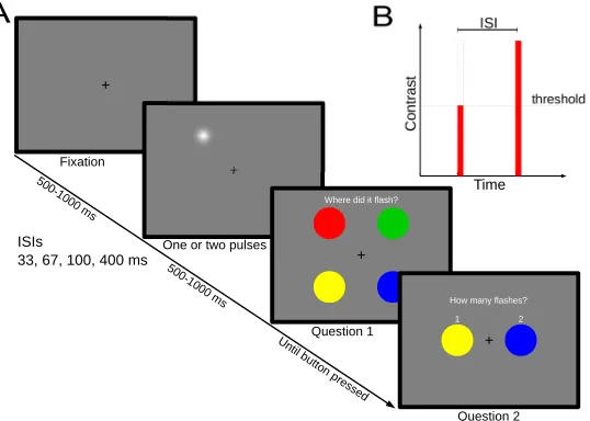 Figure 4. Illustration of dual flash experimental trial. A: After a variable inter-trial interval during which participants fixated on a central fixation cross, two flashes of light were presented in rapid succession at different ISIs (33, 66, 100 and 400 