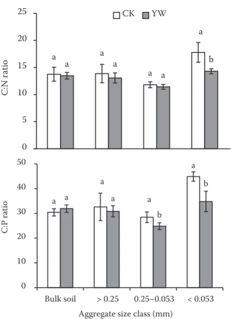 Figure 3. Ratios of carbon to nitrogen (C:N) and carbon to phosphorus (C:P) in bulk soil and soil aggregate size fractions