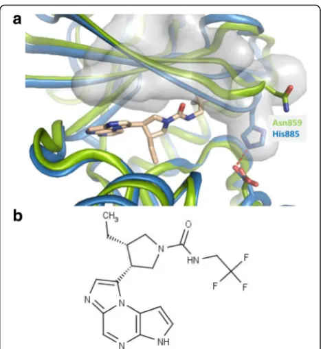 Fig. 1 A. Upadacitinib modeled in the crystal structure of JAK1. Amodel of JAK1 complexed to upadacitinib is shown in blue