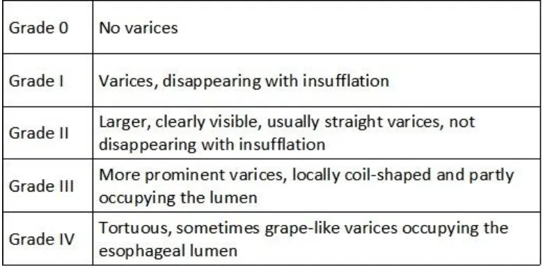 Table 3 Paquet Classification of oesophageal varices