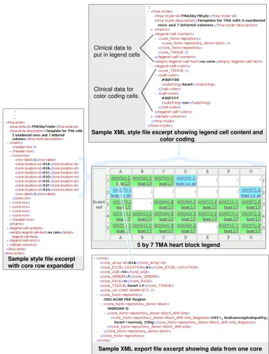 Figure 5Producing a legendProducing a legend. The style file specifies the layout of the array (or matrix) and the legend cell contents and colors using a simple XML language defined in the addStyles conditional section of tmades.dtd